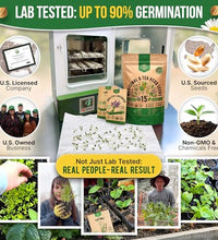 cultivo de té en casa fácil