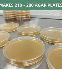 Cultivo eficiente de hongos con Myco Labs