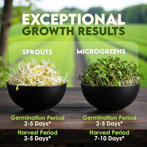 cultivo fácil con semillas de trébol