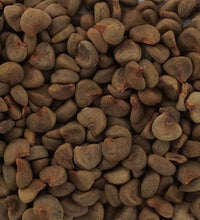 cultivo fácil de hibisco sabdariffa