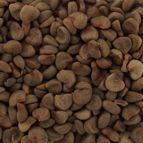 cultivo fácil de hibisco sabdariffa