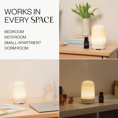 decoración elegante con difusor Vitruvi