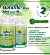 Desintoxica tu cuerpo con clorofila