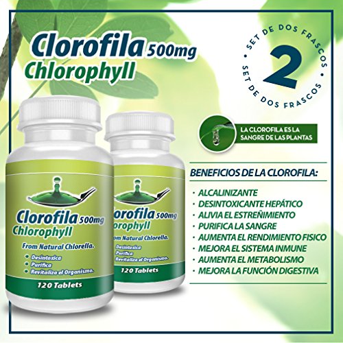 Desintoxica tu cuerpo con clorofila