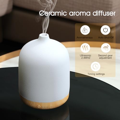 difusor de 250ml con temporizador