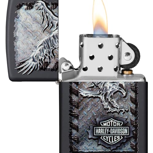 diseño exclusivo Harley-Davidson