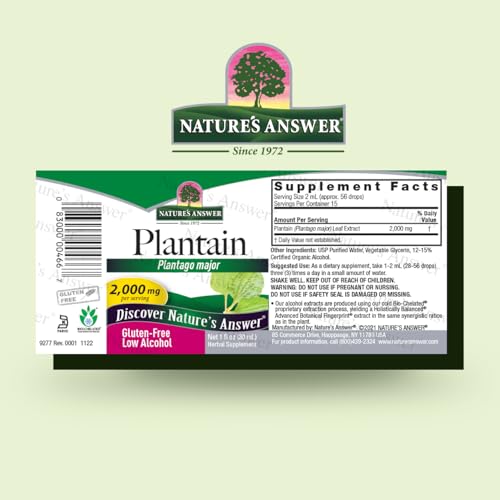 Echinacea con hoja de plátano natural