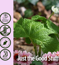 Echinacea líquida para combatir resfriados