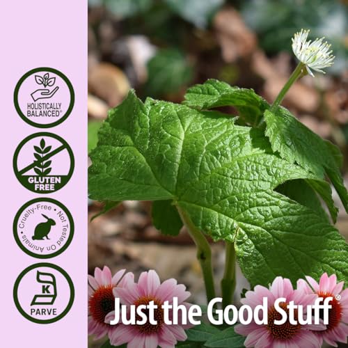 Echinacea líquida para combatir resfriados