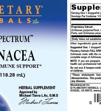 Echinacea natural para el bienestar diario