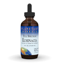 Echinacea para fortalecer el sistema inmunológico