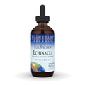 Echinacea para fortalecer el sistema inmunológico