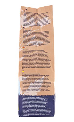 Echinacea Plus de Hilton Herbs calidad premium