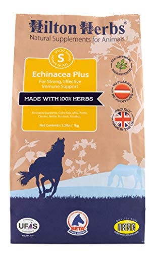 Echinacea Plus para fortalecer defensas
