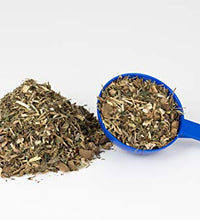 Echinacea Plus para salud inmunológica