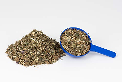 Echinacea Plus para salud inmunológica