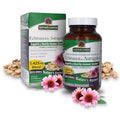 Echinacea y astrágalo para defensas