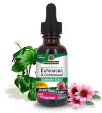 Echinacea y Goldenseal para fortalecer el sistema inmune
