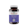 Elderberry para apoyo inmunológico