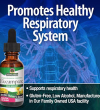 Elecampane Nature's Answer 2000mg