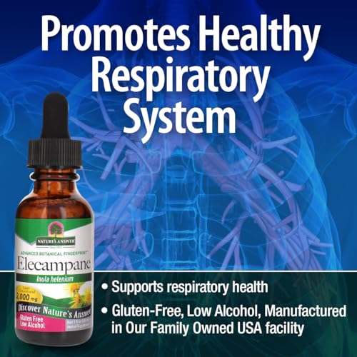 Elecampane Nature's Answer 2000mg