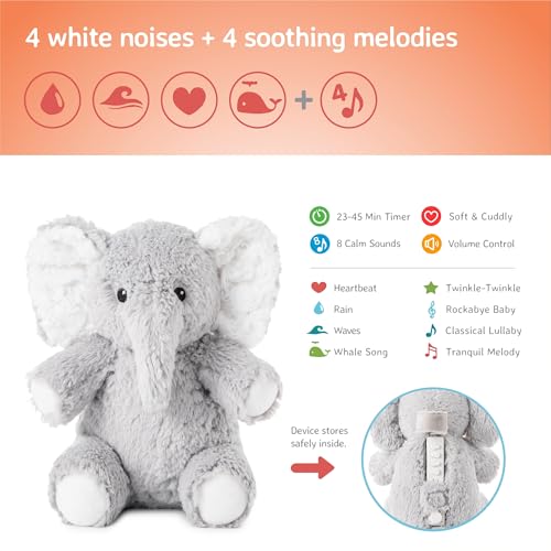 Elefante de viaje para bebés