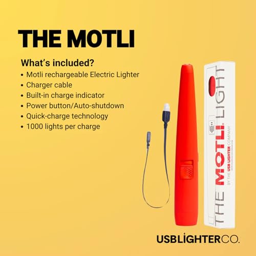 encendedor USB con linterna integrada