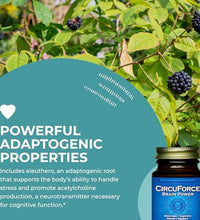 energía mental con ginkgo biloba