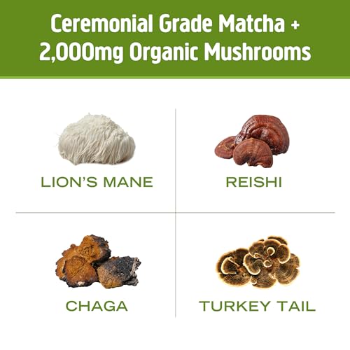energía natural con matcha y hongos