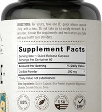 enzimas digestivas para mejor salud