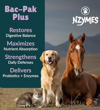 Enzimas digestivas para mejor salud