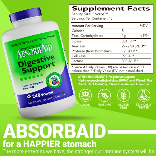 enzimas naturales para salud intestinal