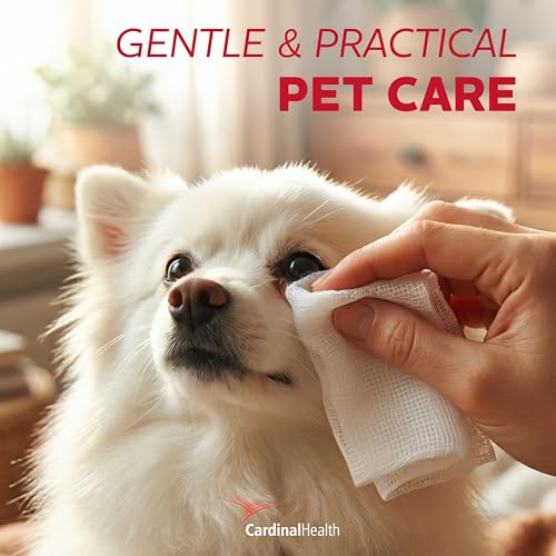 esponja de gasa en paquete de 100