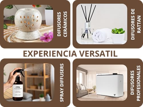 experiencia olfativa en tu hogar