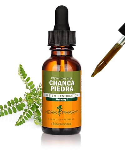 extracto chanca piedra para salud urinaria