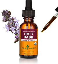 extracto de albahaca sagrada orgánico