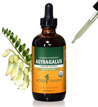 extracto de astrágalo orgánico para salud