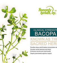 Extracto de Bacopa Monnieri natural
