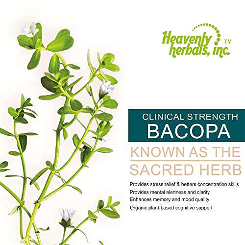 Extracto de Bacopa Monnieri natural