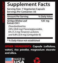 Extracto de Ginkgo Biloba 120mg natural