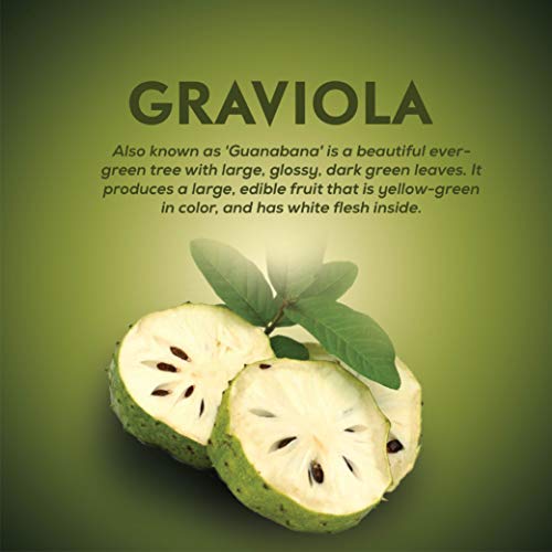 extracto de graviola silvestre propiedades antioxidantes