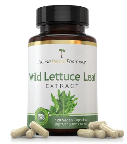 extracto de hoja de lechuga silvestre beneficios