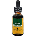 extracto de hoja de olivo beneficios