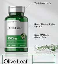 extracto de hoja de olivo potente
