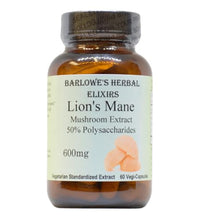extracto de hongo lion's mane beneficios cognitivos
