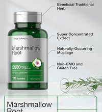 extracto de malvavisco para digestión