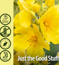 extracto de mullein de Nature's Answer