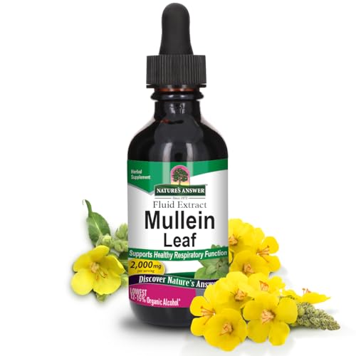 extracto de mullein para salud respiratoria