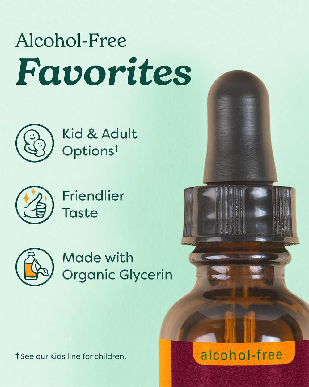 Extracto de Skullcap 4 oz