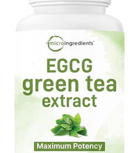 extracto de té verde antioxidante